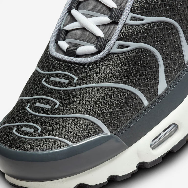 NK Air Max TN Plus Cool Grey Wolf Grey