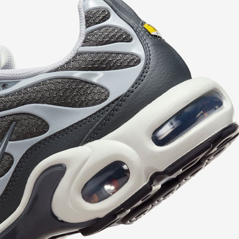 NK Air Max TN Plus Cool Grey Wolf Grey