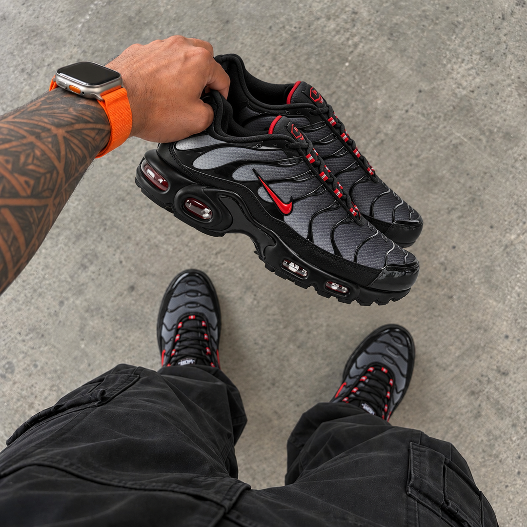 TN DRACULA