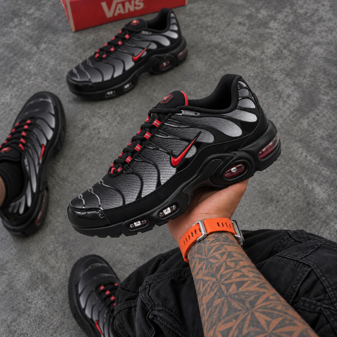 TN DRACULA