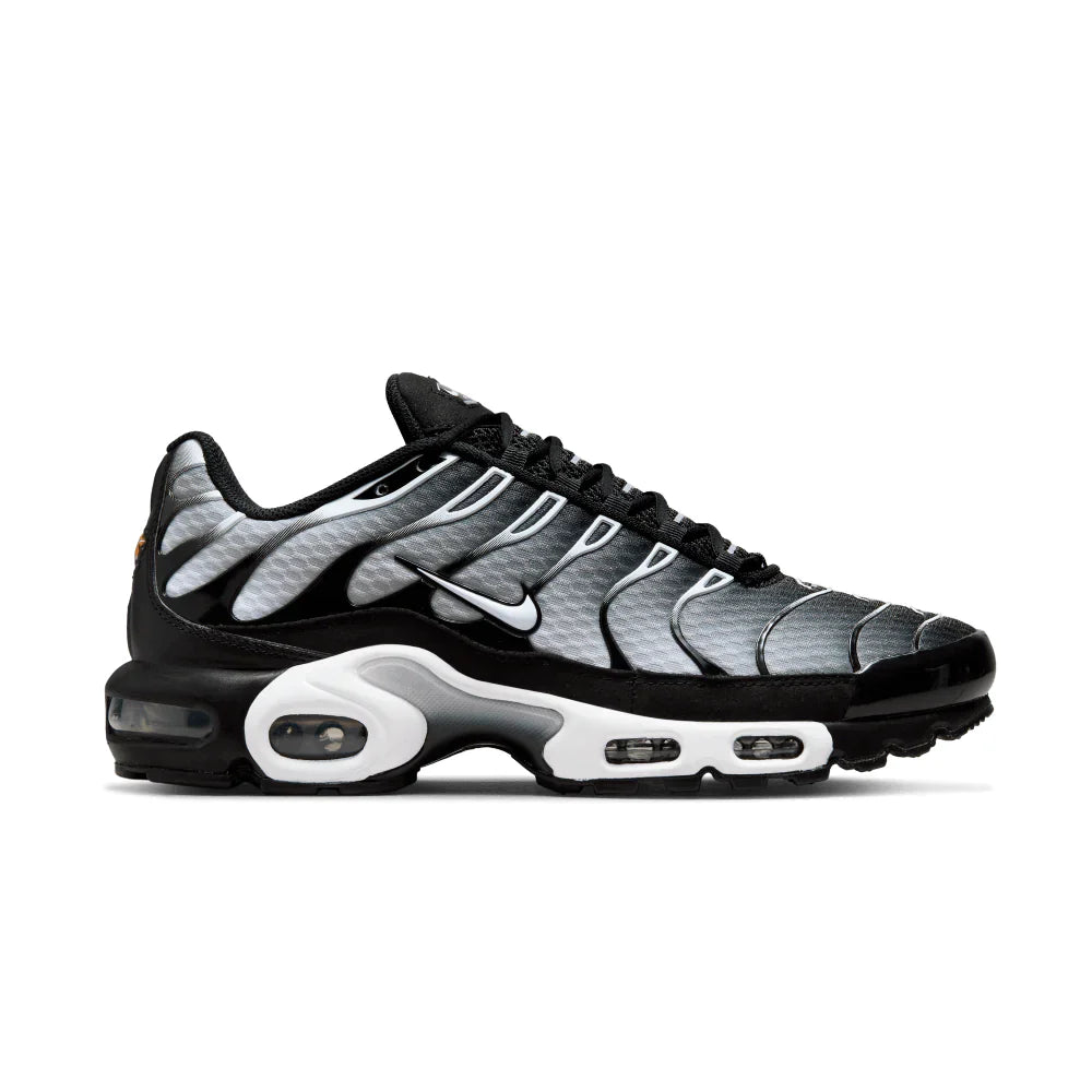 Air Max TN Plus Grey