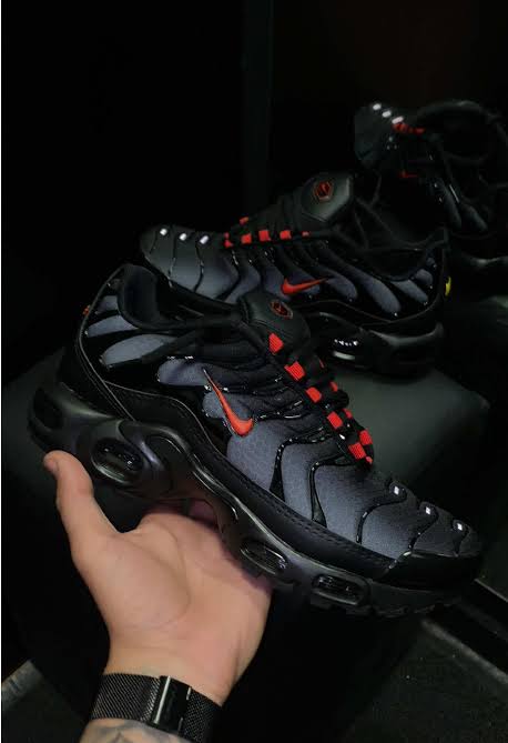 TN DRACULA
