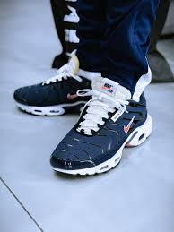 NK Air Max TN Plus azul